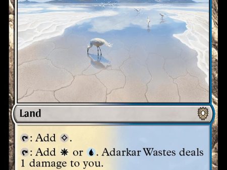 Adarkar Wastes [Bloomburrow Commander] Hot on Sale